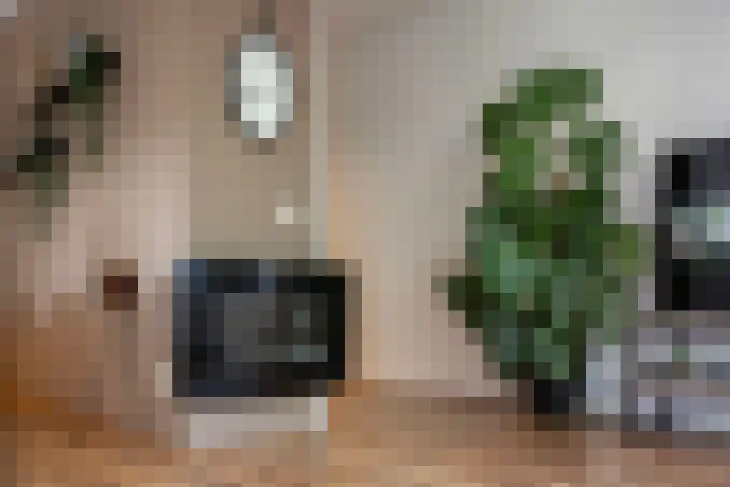 Kruidenplein 60 Arnhem thumbnail 6