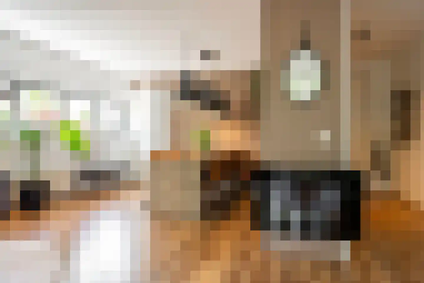 Kruidenplein 60 Arnhem thumbnail 7