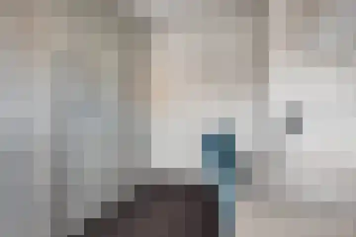 Kruidenplein 64 Arnhem thumbnail 16