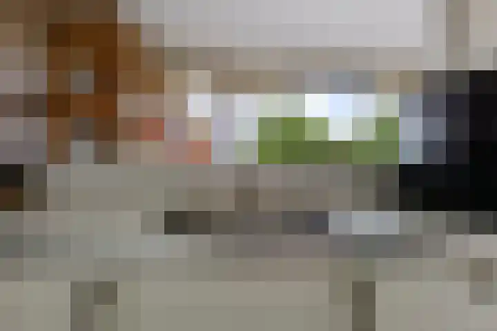 Kruidenplein 64 Arnhem thumbnail 18