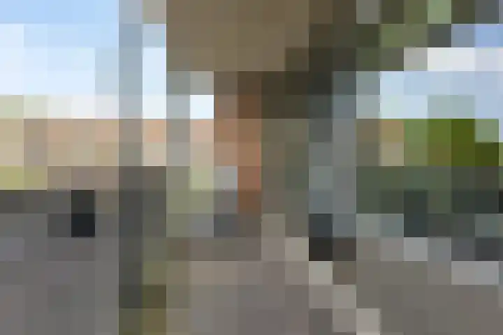 Kruidenplein 64 Arnhem thumbnail 26