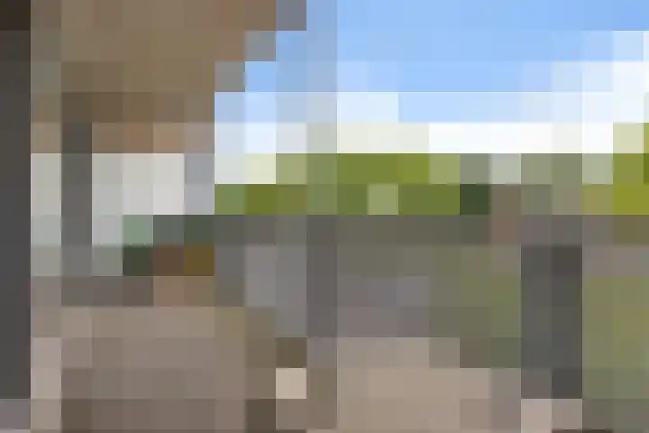 Kruidenplein 64 Arnhem thumbnail 27