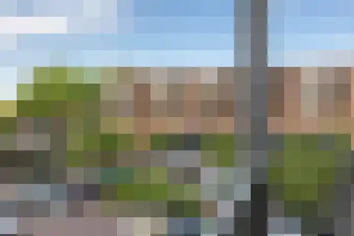 Kruidenplein 64 Arnhem thumbnail 29