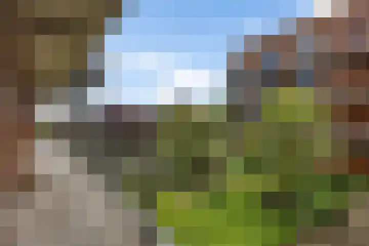 Kruidenplein 64 Arnhem thumbnail 9
