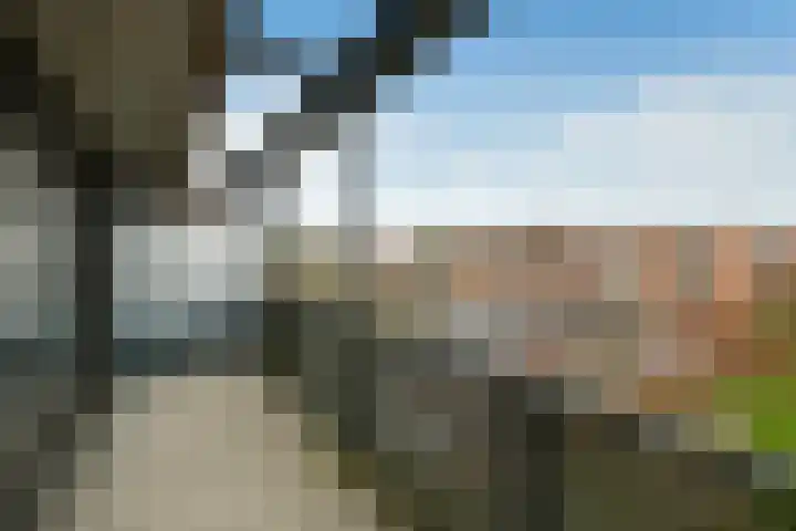 Kruidenplein 80 Arnhem thumbnail 17