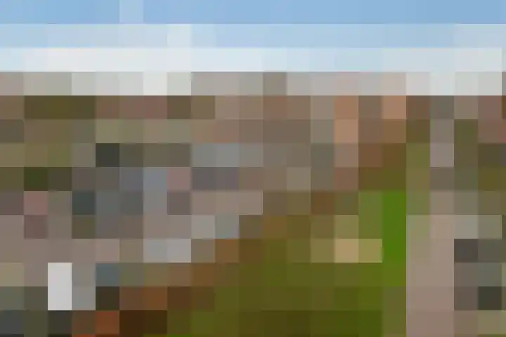 Kruidenplein 80 Arnhem thumbnail 20