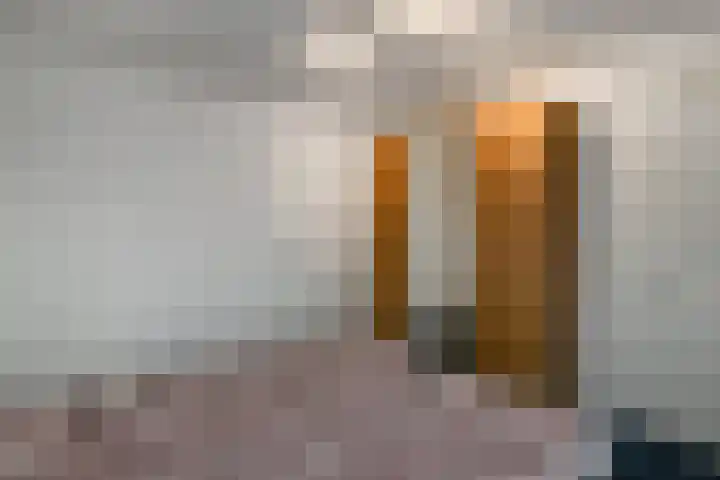 Kruidenplein 80 Arnhem thumbnail 31