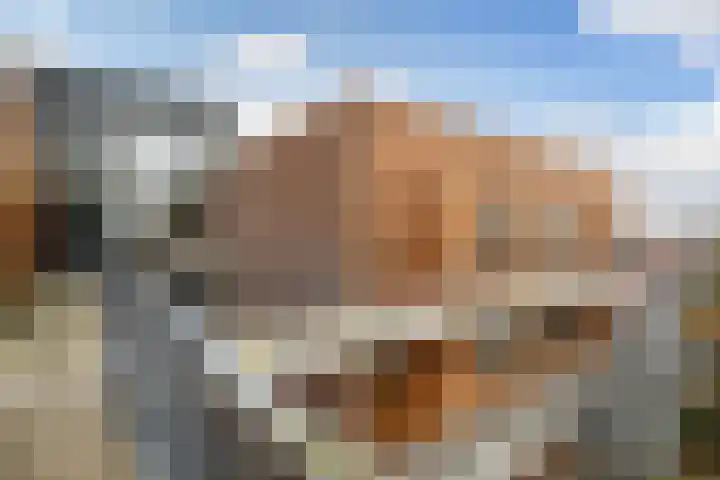 Kruidenplein 82 Arnhem thumbnail 26