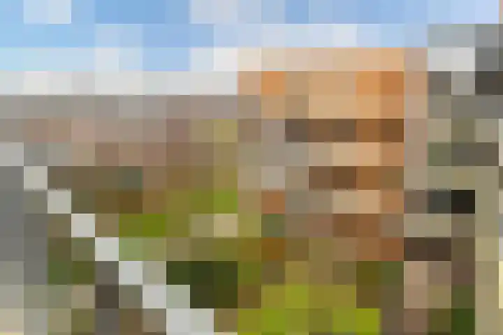 Kruidenplein 82 Arnhem thumbnail 27