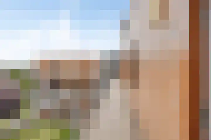 Kruidenplein 88 Arnhem thumbnail 10