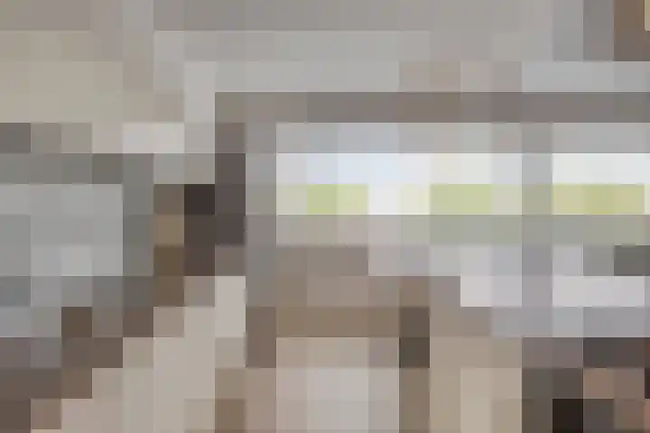 Kruidenplein 88 Arnhem thumbnail 22