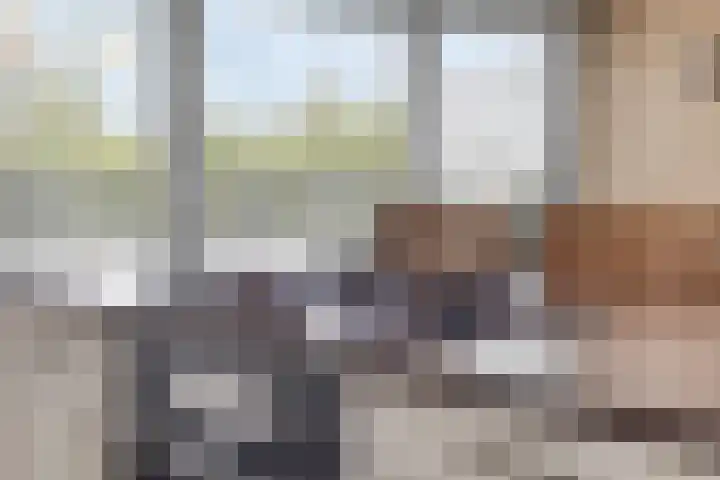 Kruidenplein 88 Arnhem thumbnail 25