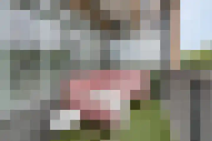 Kruidenplein 88 Arnhem thumbnail 30