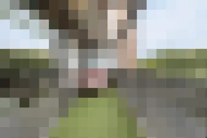 Kruidenplein 88 Arnhem thumbnail 31