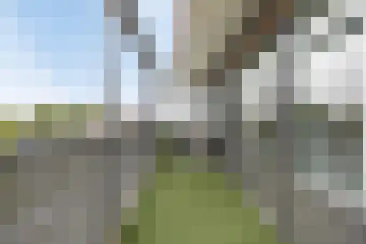 Kruidenplein 88 Arnhem thumbnail 32