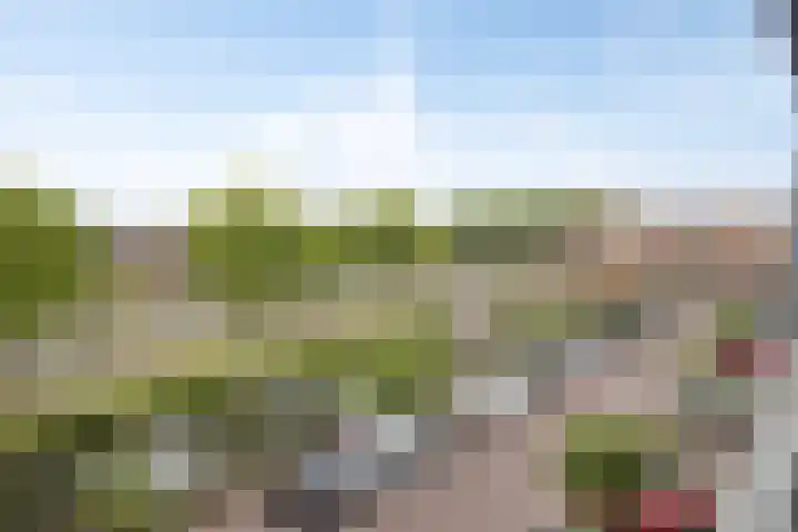 Kruidenplein 88 Arnhem thumbnail 34