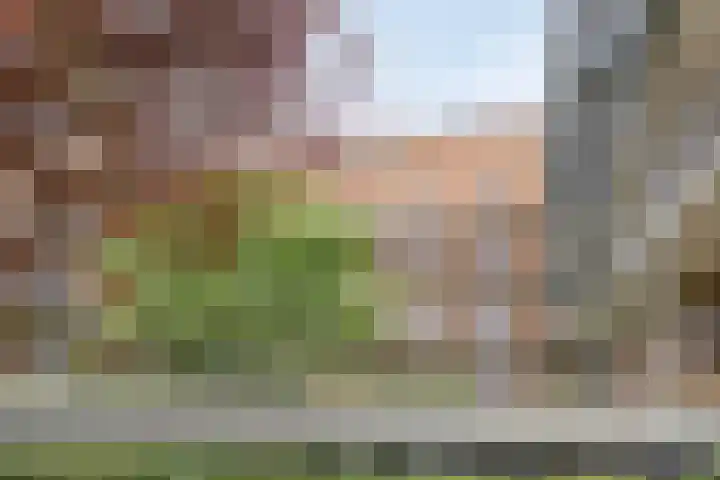 Kruidenplein 88 Arnhem thumbnail 48