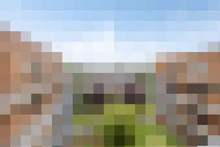Kruidenplein 88 Arnhem thumbnail 8