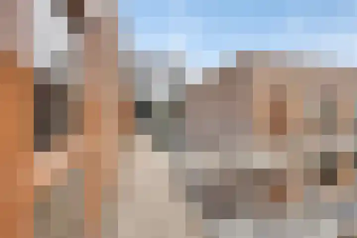 Kruidenplein 88 Arnhem thumbnail 9