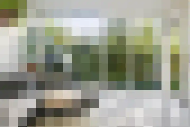Kruidenpoort 1 Duivendrecht thumbnail 22