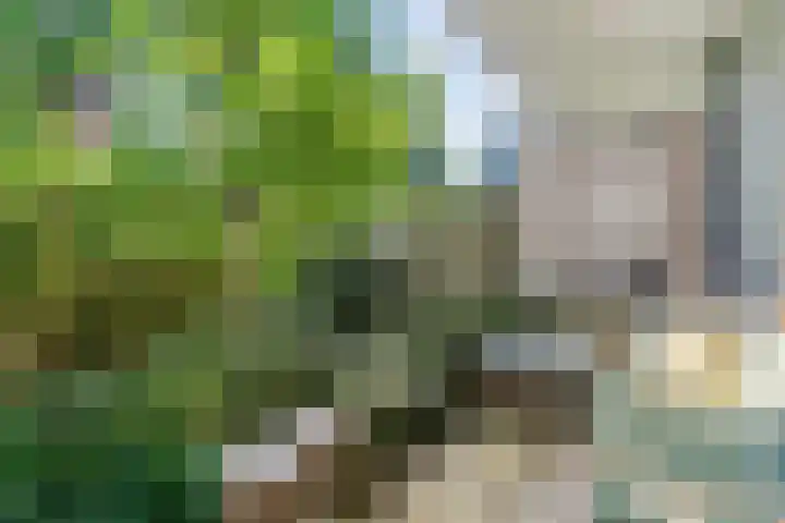 Kruidenpoort 1 Duivendrecht thumbnail 33