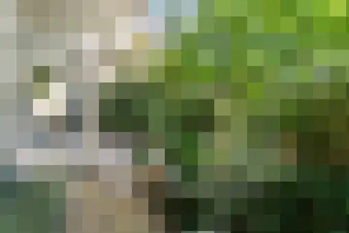 Kruidenpoort 1 Duivendrecht thumbnail 34