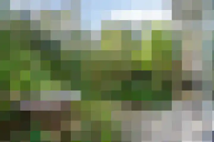 Kruidenpoort 1 Duivendrecht thumbnail 36