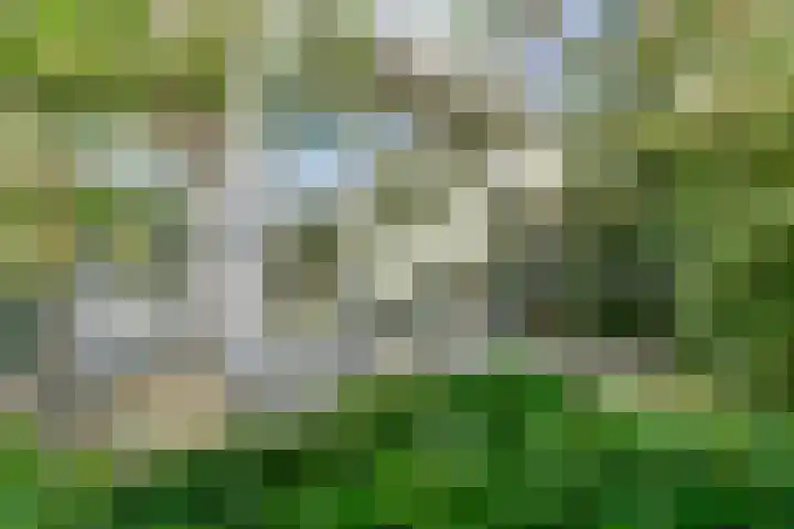 Kruidenpoort 1 Duivendrecht thumbnail 37
