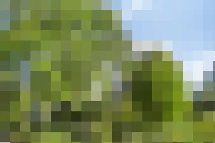 Kruidenpoort 1 Duivendrecht thumbnail 38