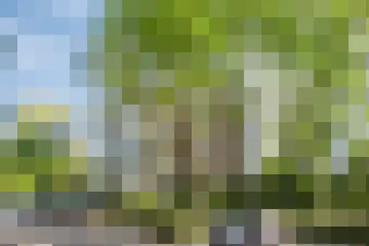 Kruidenpoort 1 Duivendrecht thumbnail 39