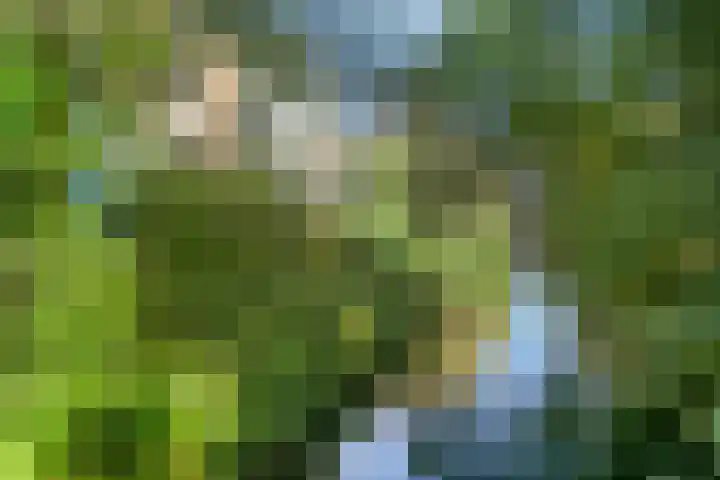 Kruidenpoort 1 Duivendrecht thumbnail 43