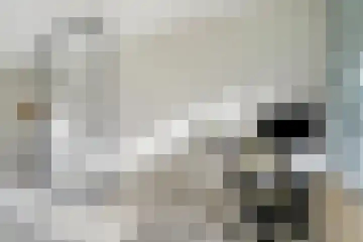 Kruidenpoort 1 Duivendrecht thumbnail 8