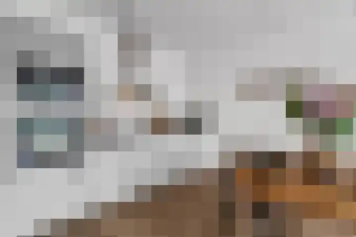 Kruidenpoort 13 Duivendrecht thumbnail 12