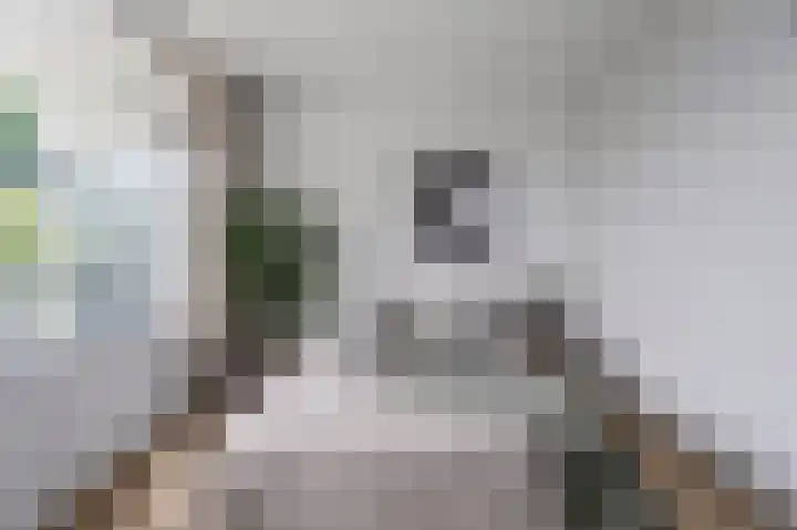Kruidenpoort 13 Duivendrecht thumbnail 21