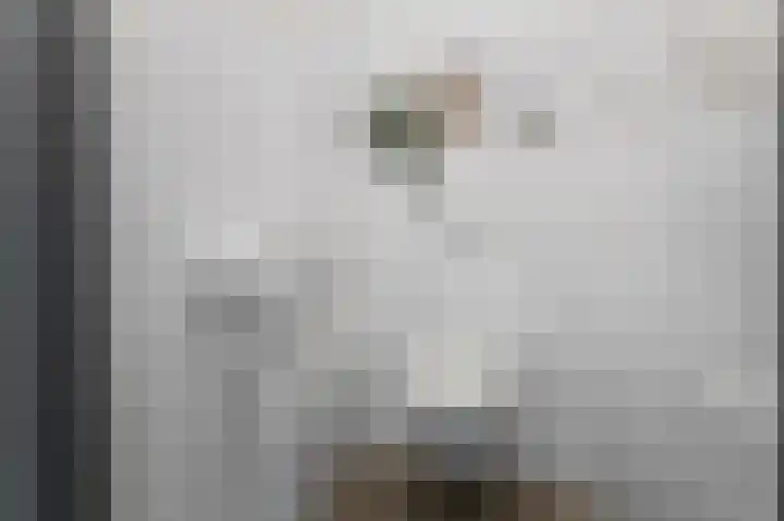 Kruidenpoort 13 Duivendrecht thumbnail 27
