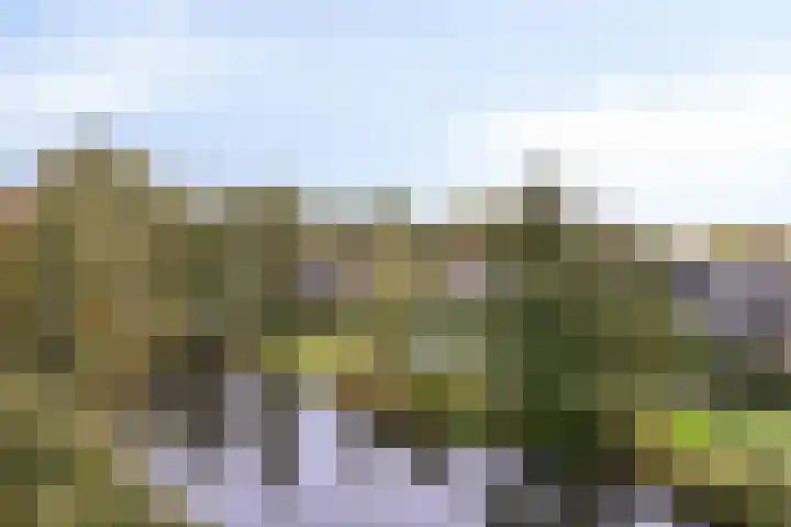 Kruidenpoort 19 Duivendrecht thumbnail 4