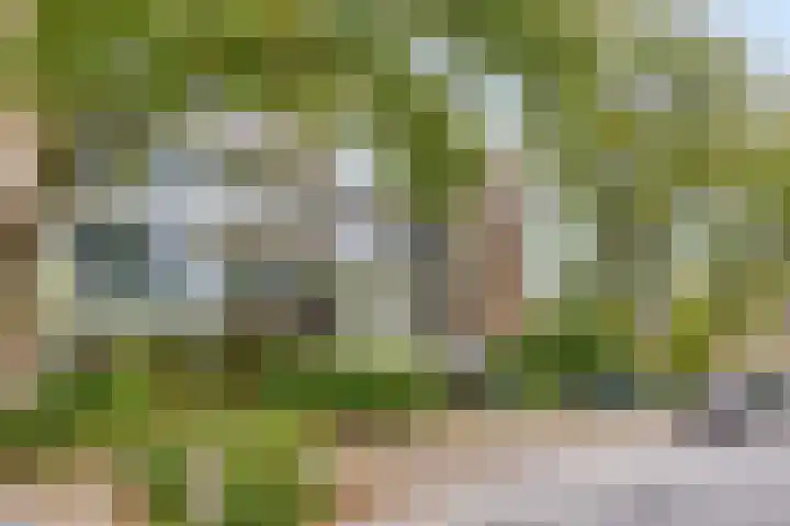 Kruidenpoort 19 Duivendrecht thumbnail 5