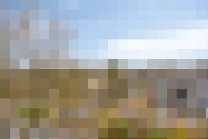Kruidenpoort 28 Duivendrecht thumbnail 14