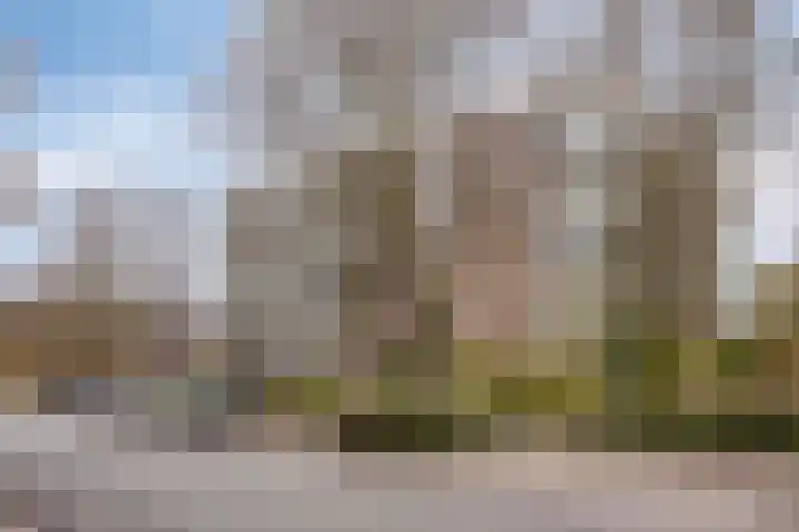 Kruidenpoort 28 Duivendrecht thumbnail 24