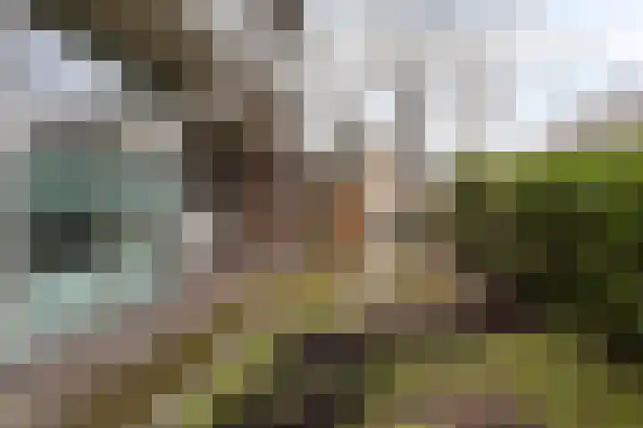Kruidenpoort 5 Duivendrecht thumbnail 12
