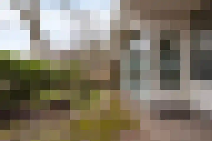 Kruidenpoort 5 Duivendrecht thumbnail 6