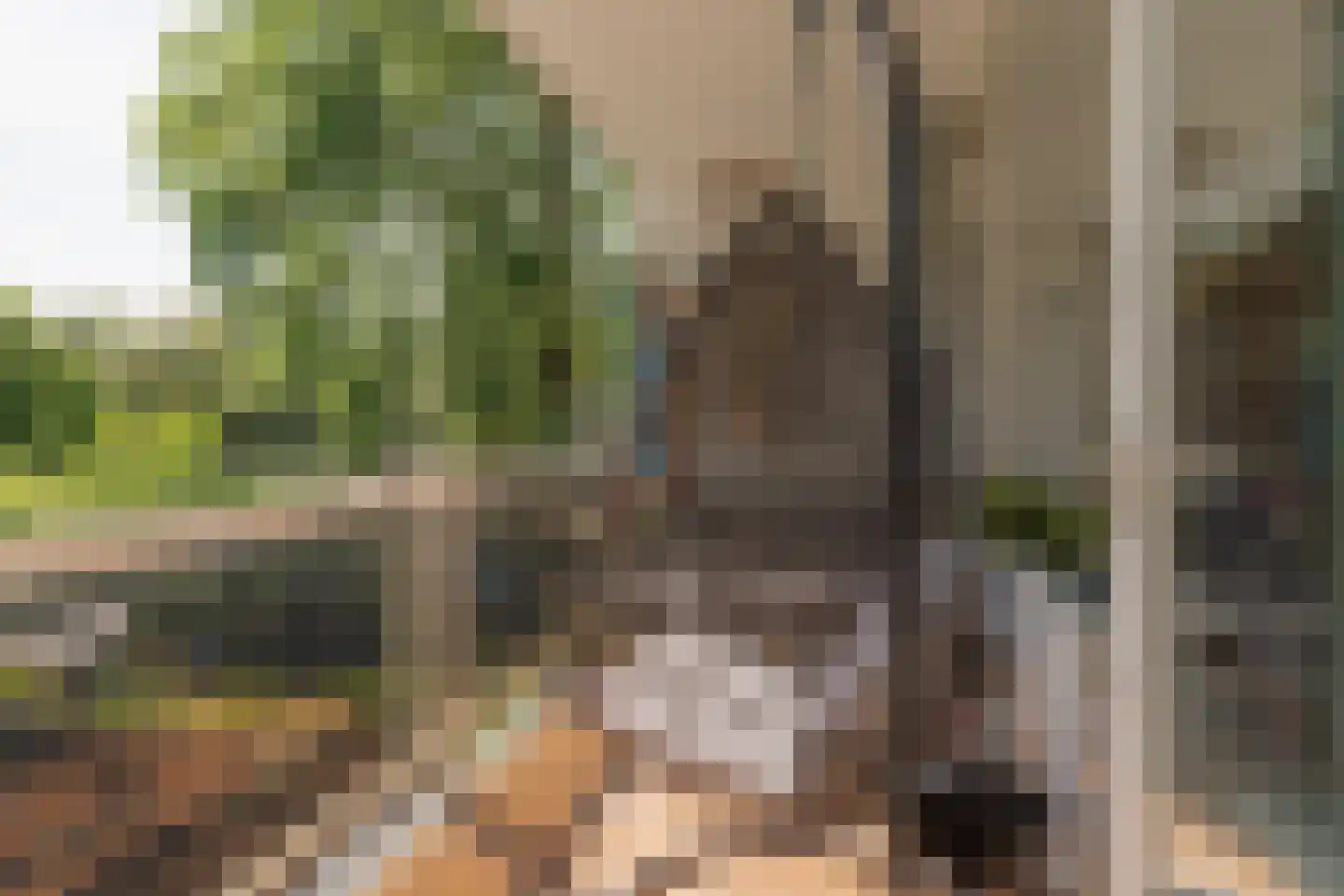 Kruidenpoort 8 Duivendrecht thumbnail 15