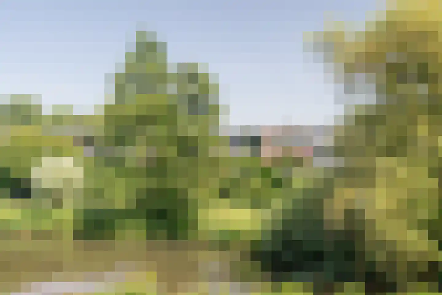 Kruidenpoort 8 Duivendrecht thumbnail 19