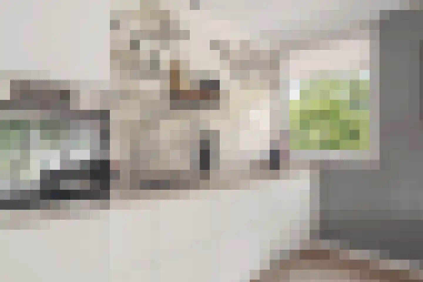 Kruidenpoort 8 Duivendrecht thumbnail 7