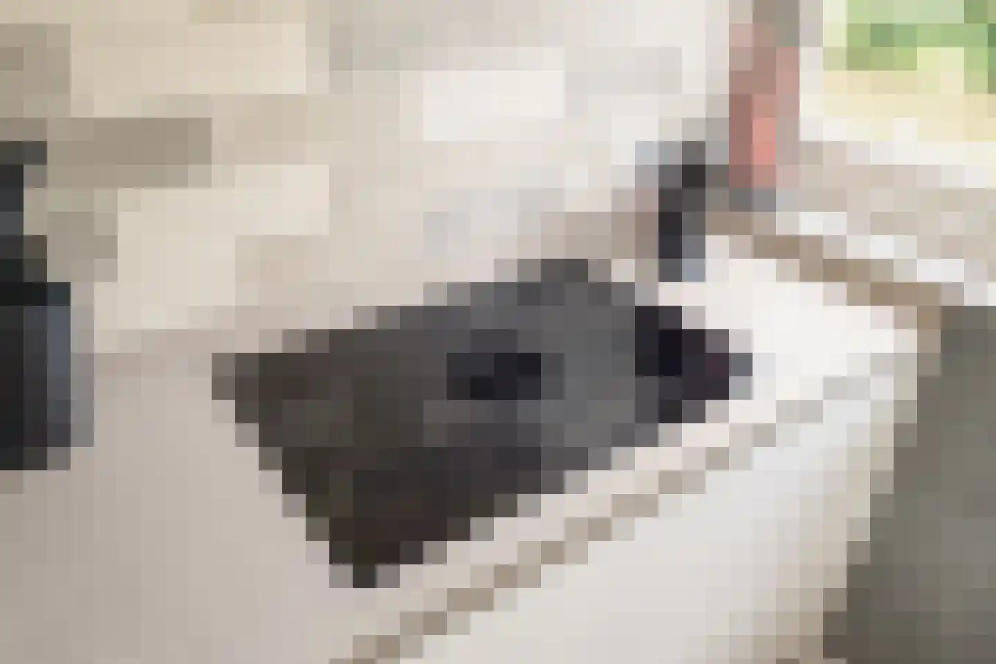 Kruidenpoort 8 Duivendrecht thumbnail 8