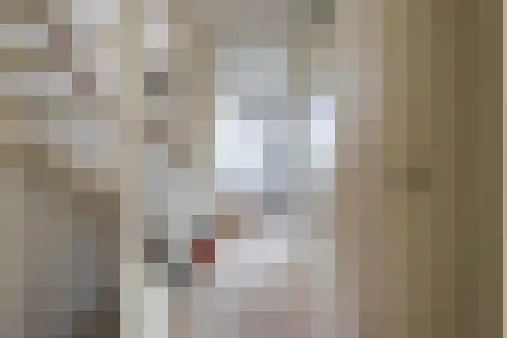 Kruidenschans 114 Voorhout thumbnail 14
