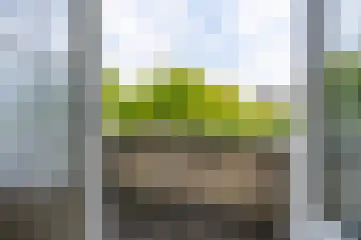 Kruidenschans 114 Voorhout thumbnail 17