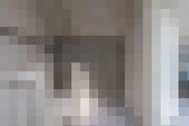 Kruidenschans 114 Voorhout thumbnail 24