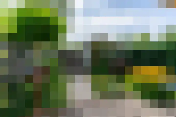 Kruidenschans 114 Voorhout thumbnail 28