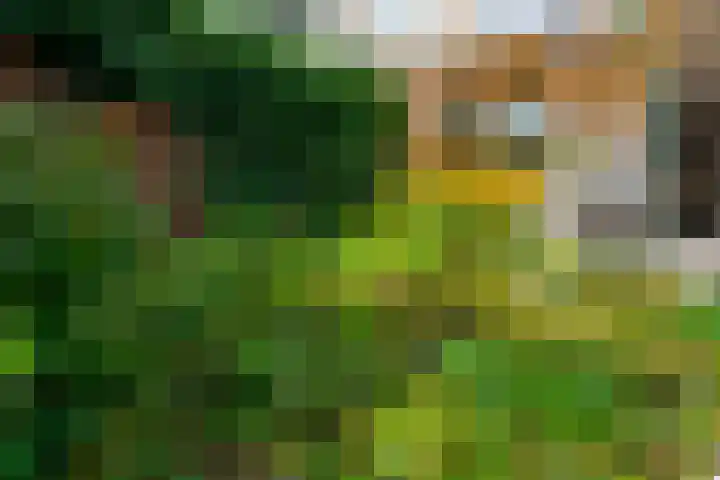 Kruidenschans 114 Voorhout thumbnail 31